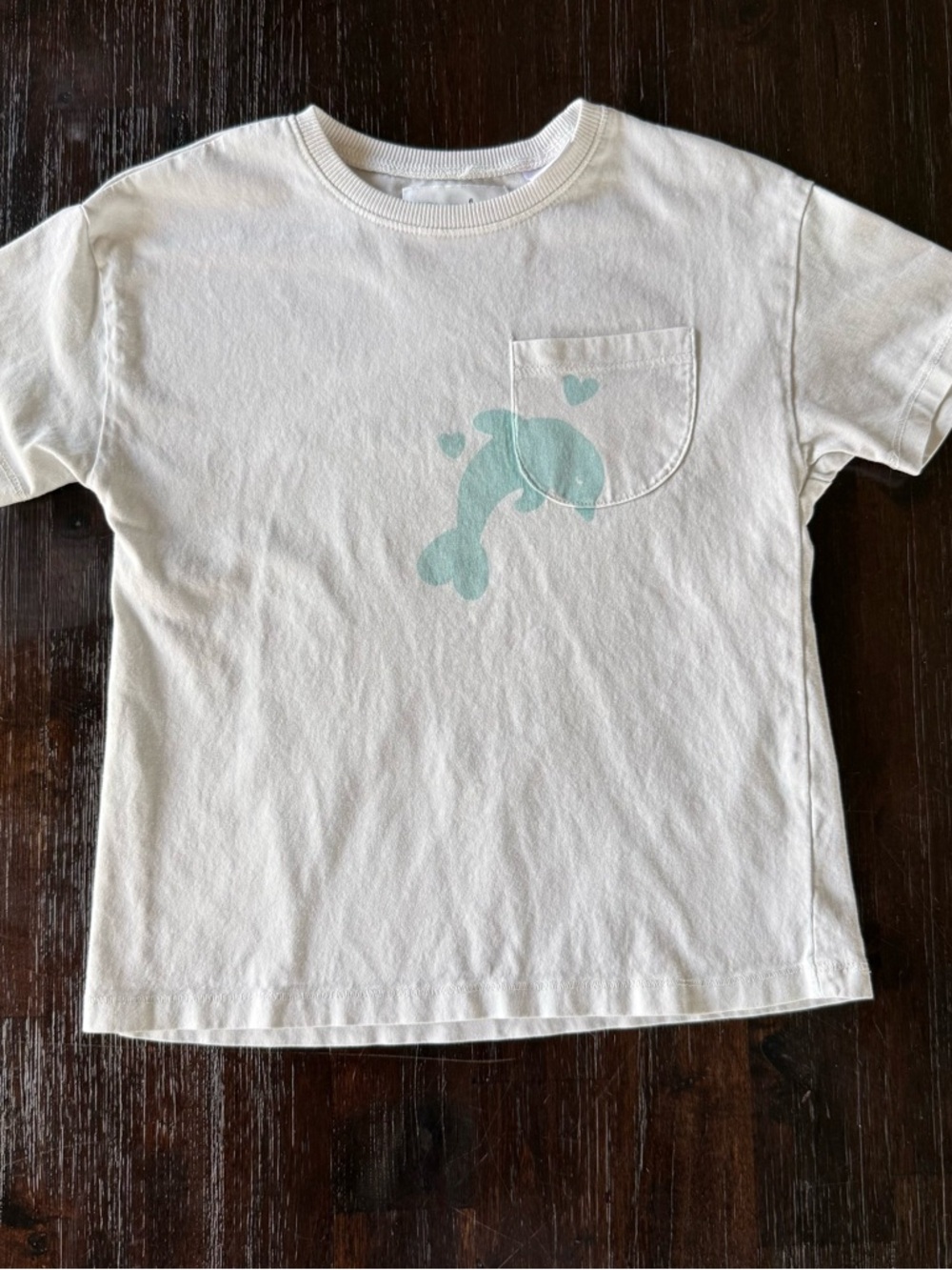 Zara White Kids Tee with Mint Dolphin Pocket Graphic